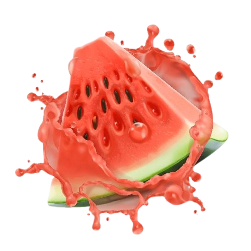 جشنواره تابستانه قالیشویی ​